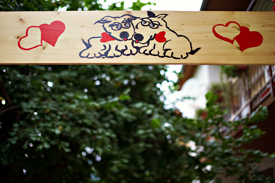 Samo Rovan Wedding Photographer Porocni Fotograf Windy Wedding 01